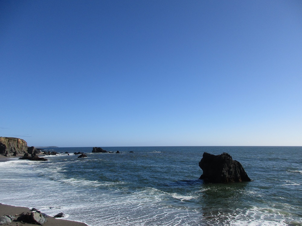 Getting Back to Your Roots 6