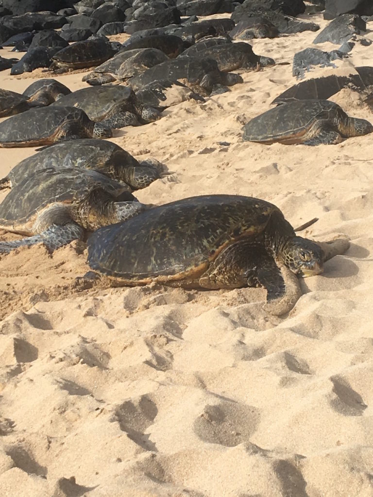 Where to Go on Your Next Beach Vacation 6