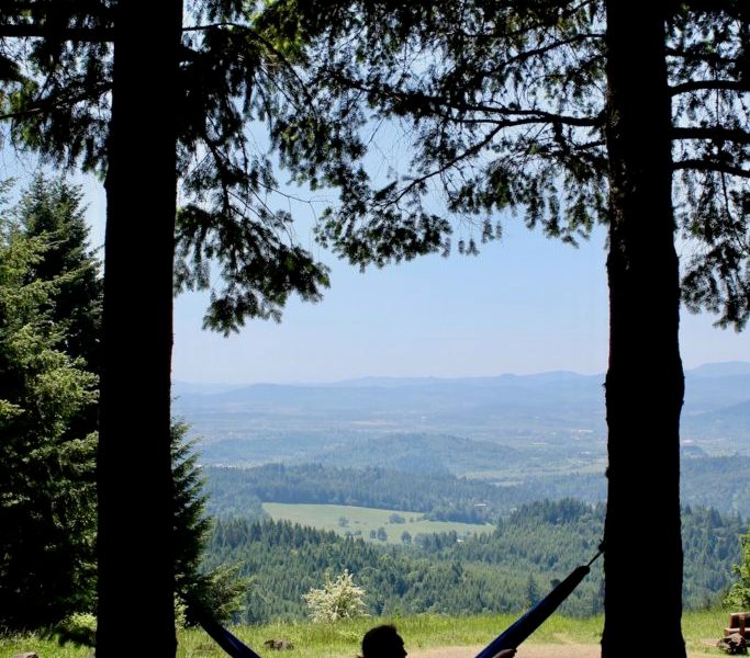 The Best Way to Clear Your Head During Finals 1