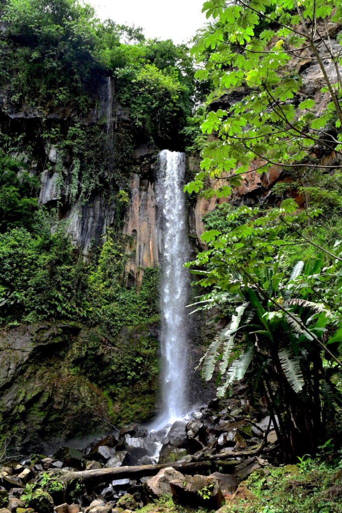 Looking for an Escape? Come Discover the Meaning of Pura Vida