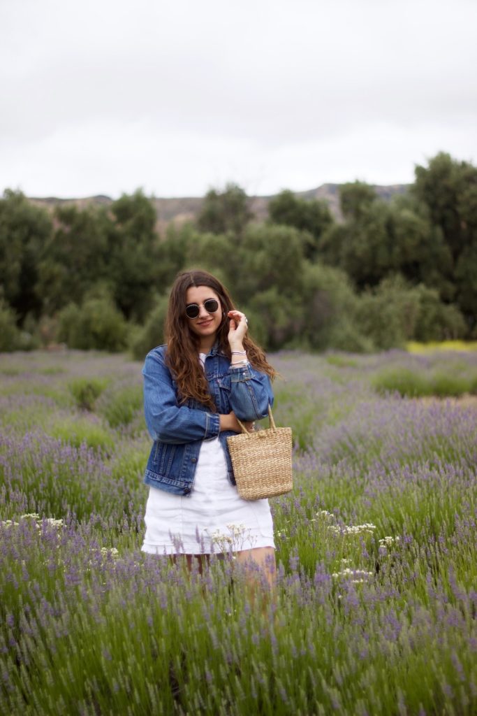 Explore This Lavender Filled Summer Daycation