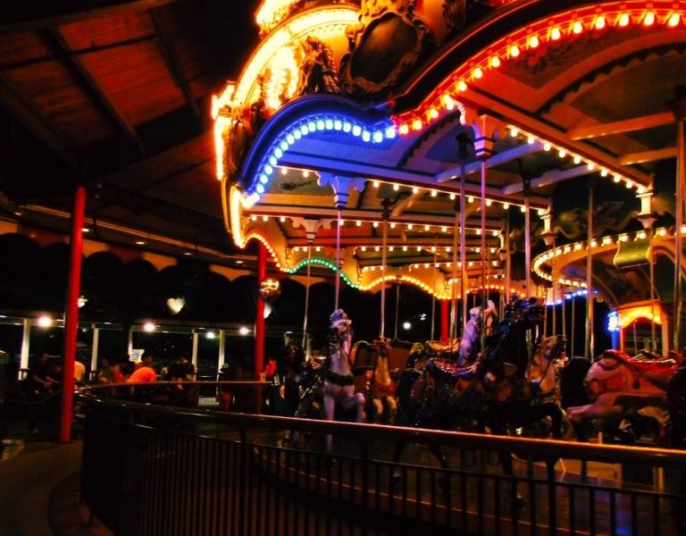 15 Theme Park Essentials 1