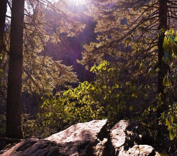 How to Have a Budget-Friendly Baecation 1