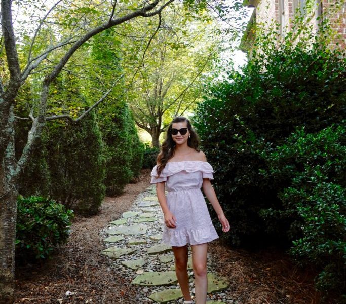 The Beginner's Guide to Online Shopping 1