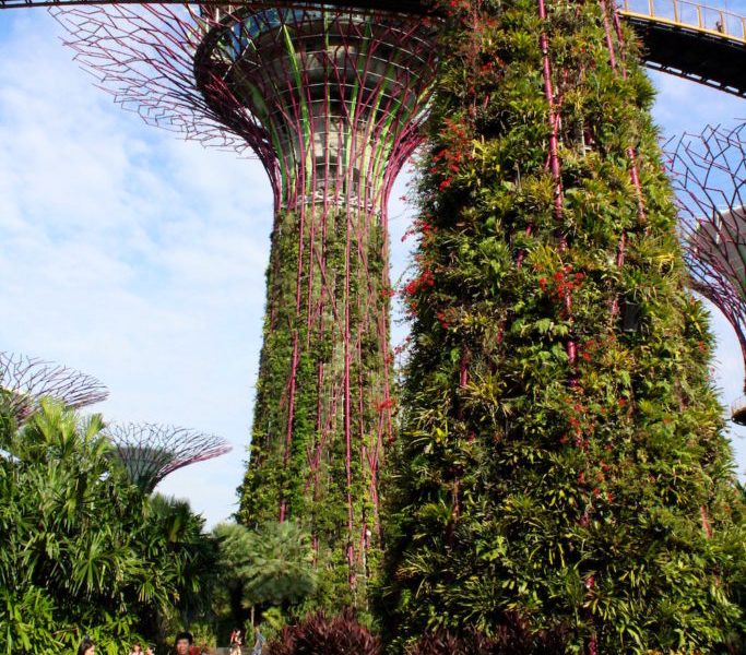 The Most Instagram-Worthy Spots in Singapore 1