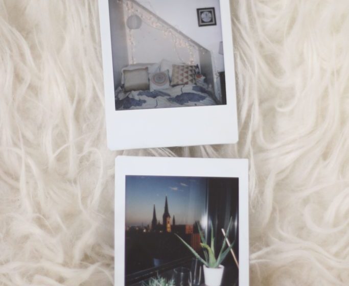 polaroids