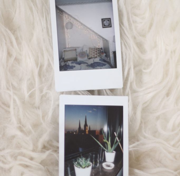 polaroids