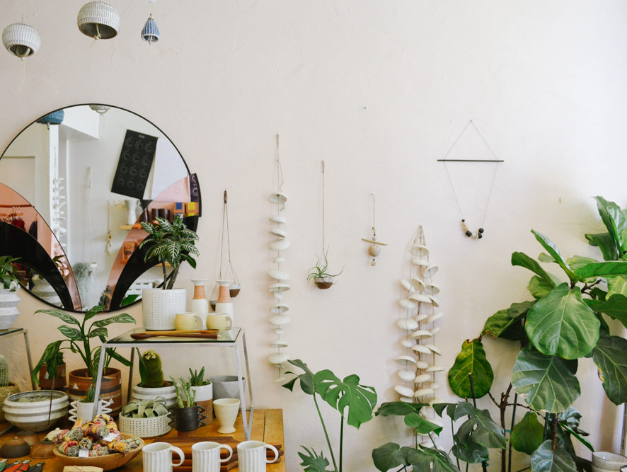 A Guide For Turning Your Space Into a Plant Oasis