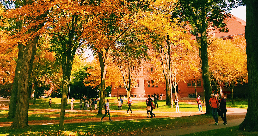 dealing with rejection from college