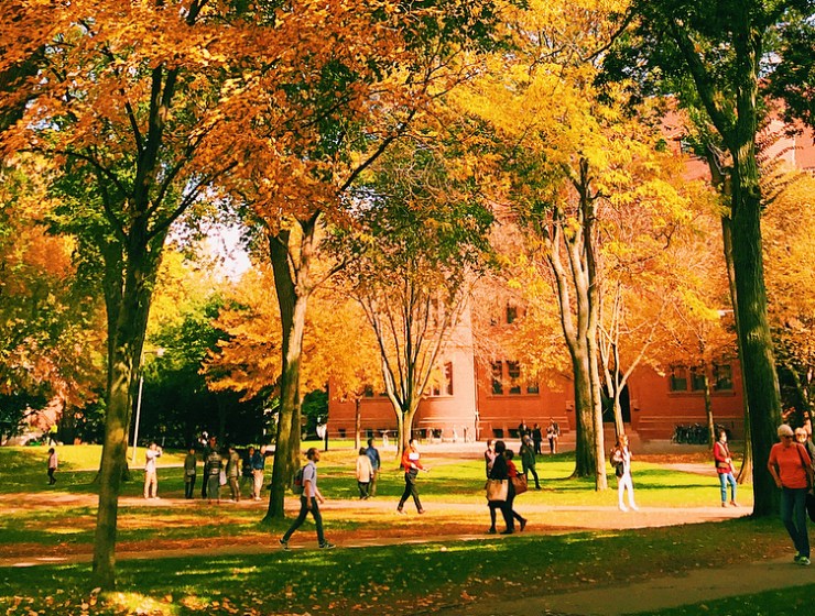 dealing with rejection from college