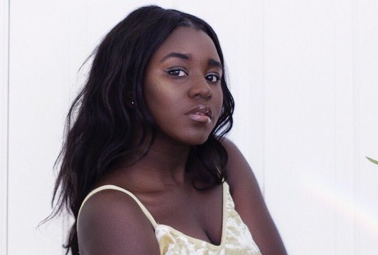 How to Apply Highlighter