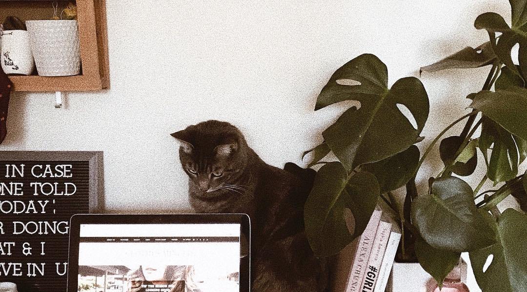 Read This Before Sending a Professional Email to Potential Employers 1 e-mail tips