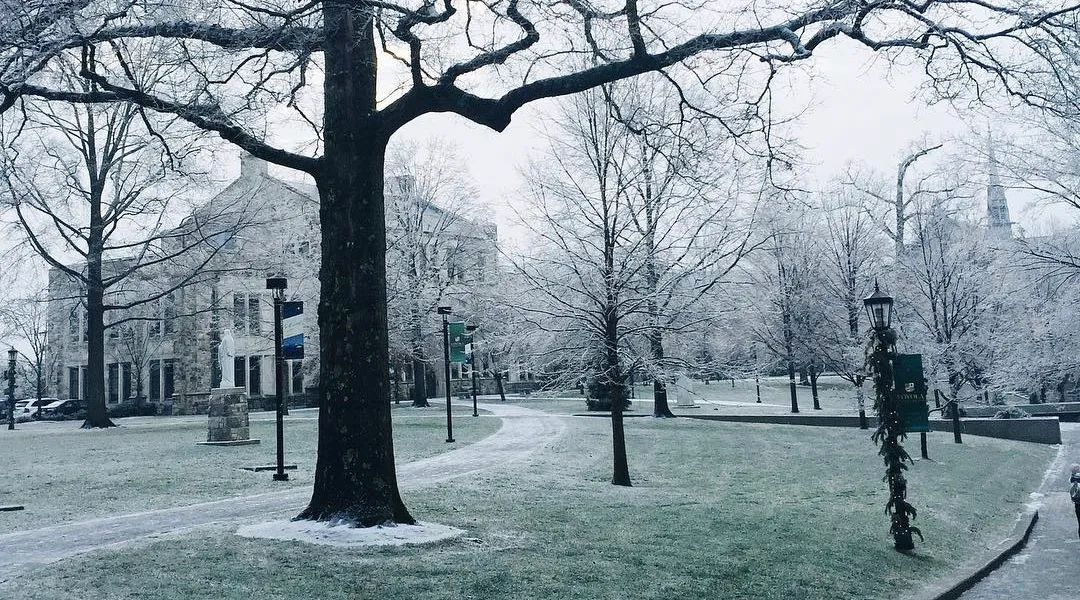 I Changed My Major From Biology to English—Here's What I Learned 1 college campus