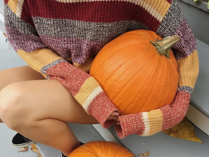 Off-Campus Fall Activities to Celebrate Pumpkin Season the Right Way