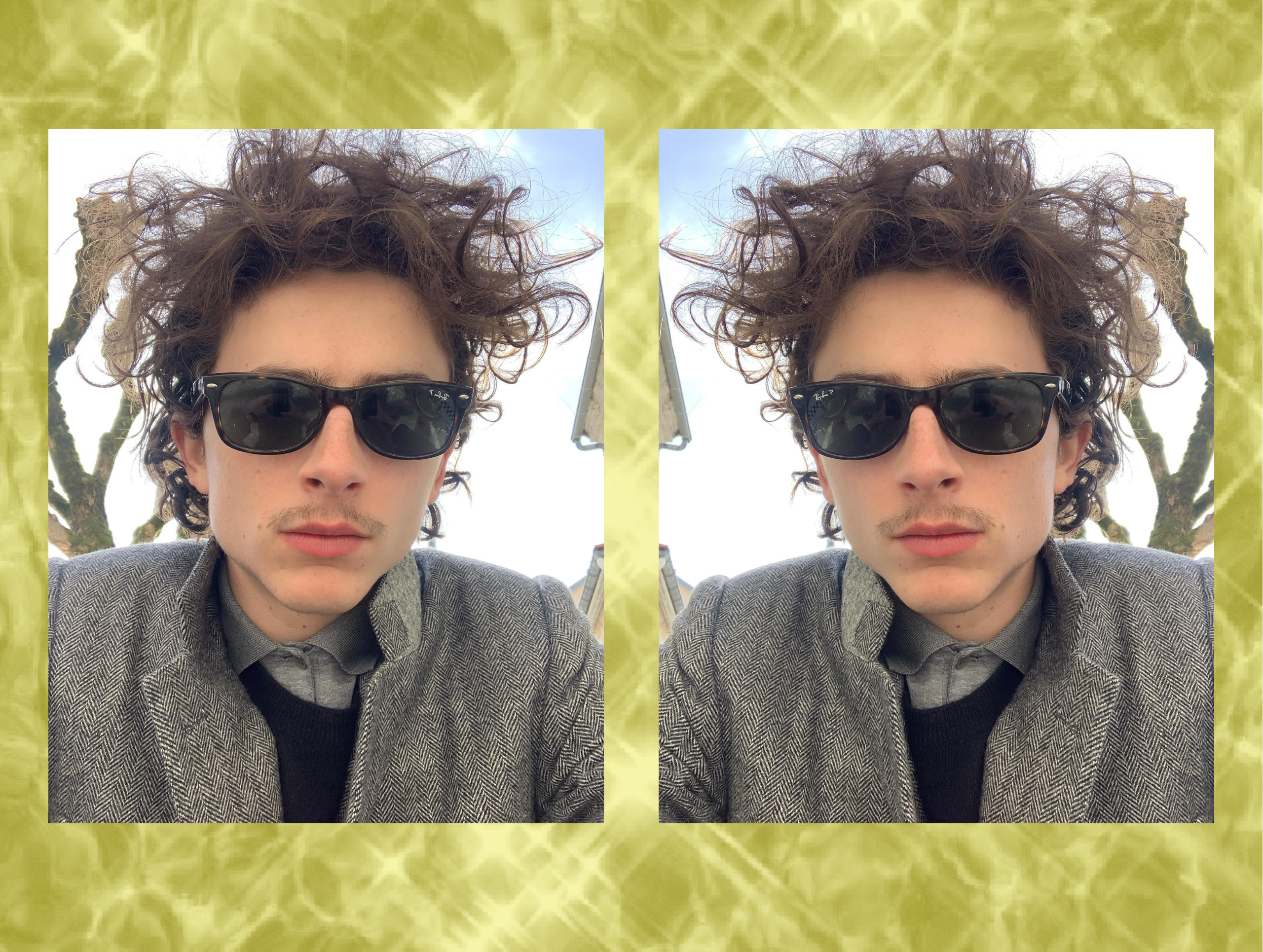 Timothée Chalamet Films Ranked by Best Hairstyle - College Fashionista Timothée Chalamet Films Ranked by Best Hairstyle - College Fashionista